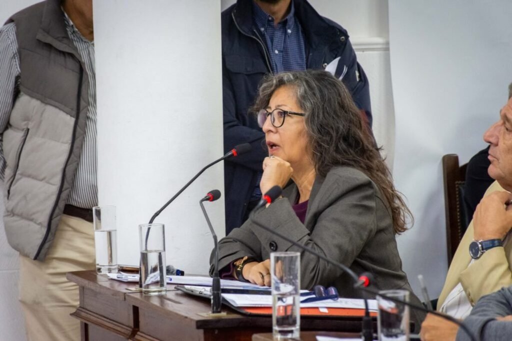 La imagen muestra a la concejala Marisa Cariddi, durante una sesión del Concejo Deliberante de Río Cuarto. 