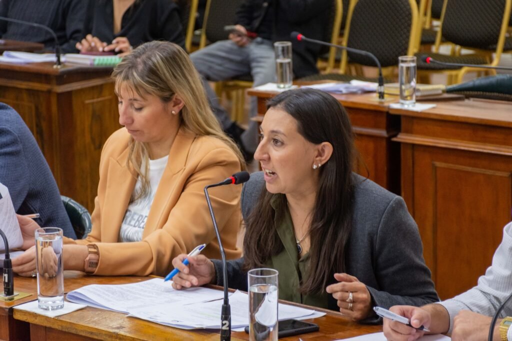 La imagen muestra a la concejala oficialista Milagros Obregón, haciendo uso de la palabra durante una sesión del Concejo Deliberante de Río Cuarto.